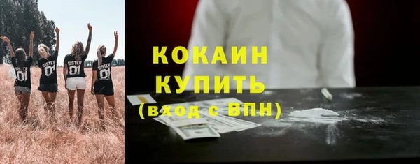 крисы Горно-Алтайск