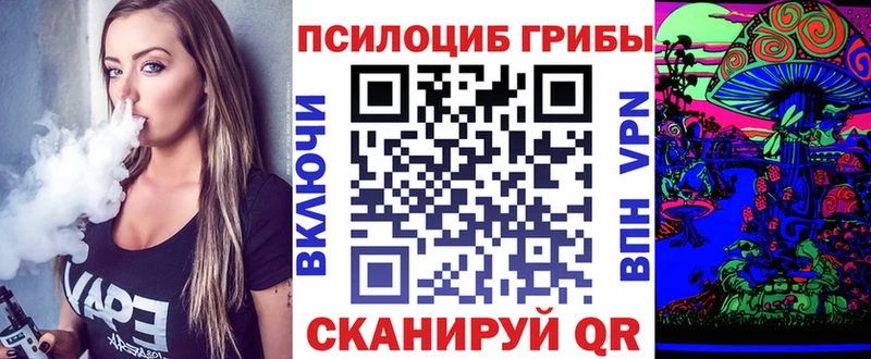 Псилоцибиновые грибы GOLDEN TEACHER  продажа наркотиков  Вятские Поляны 