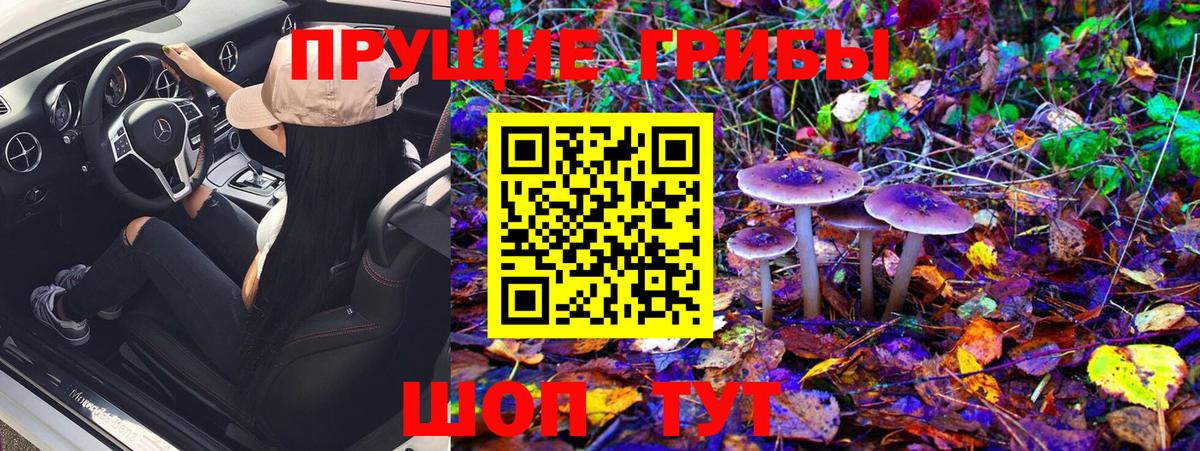 Псилоцибиновые грибы мицелий  Вятские Поляны 