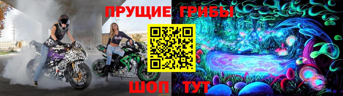 Псилоцибиновые грибы Psilocybine cubensis  Вход с VPN  Галлюциногенные грибы Psilocybe  Вятские Поляны 