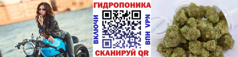 МЕГА ТОР  Вятские Поляны  Бошки Шишки Amnesia 